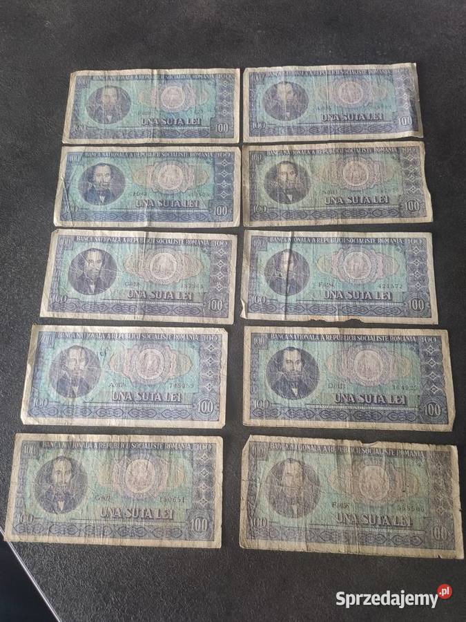 100 lei Bolesławiec