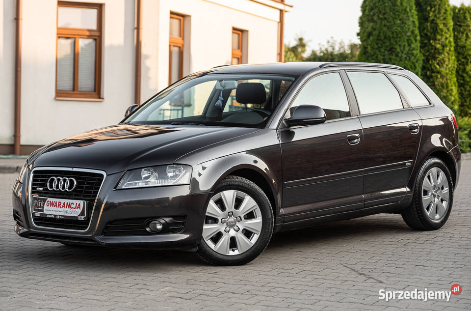 Audi A3 8P Lift Sportback 19 TDI Super stan