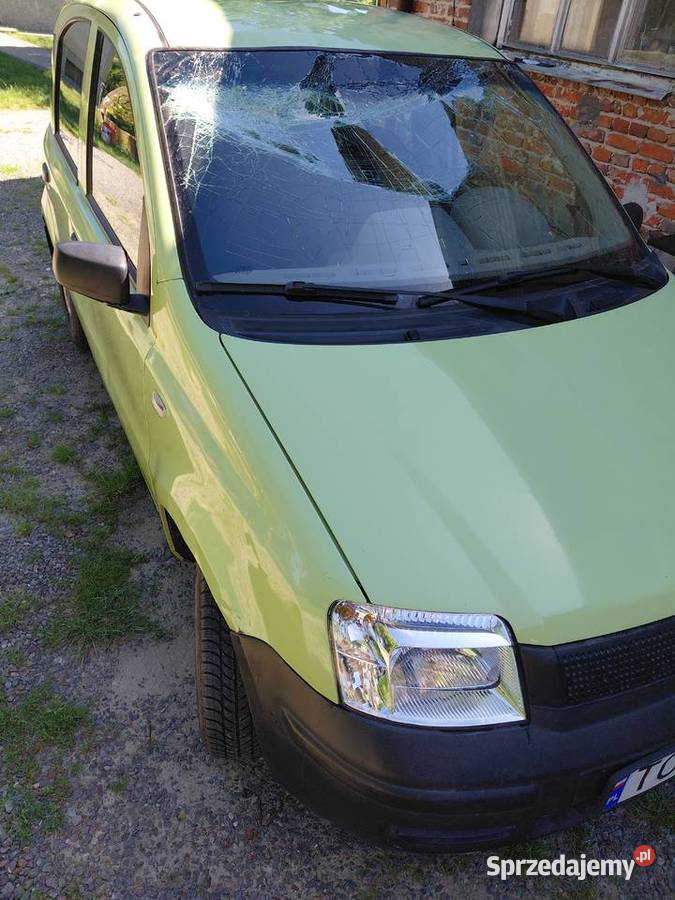Fiat panda świętokrzyskie
