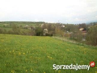 Sprzedam działkę budowlaną w Lipnicy Wielkiej telefon Korzenna