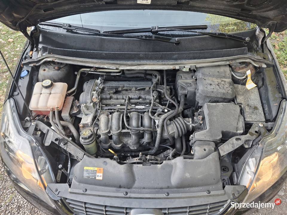 Ford Focus 16 benzyna 2009r
