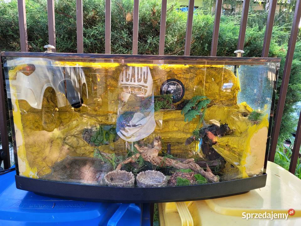 Terarium gekona łódzkie Łódź