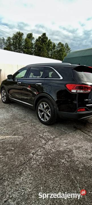 KIA SORENTO Polski Salon Pszczyna