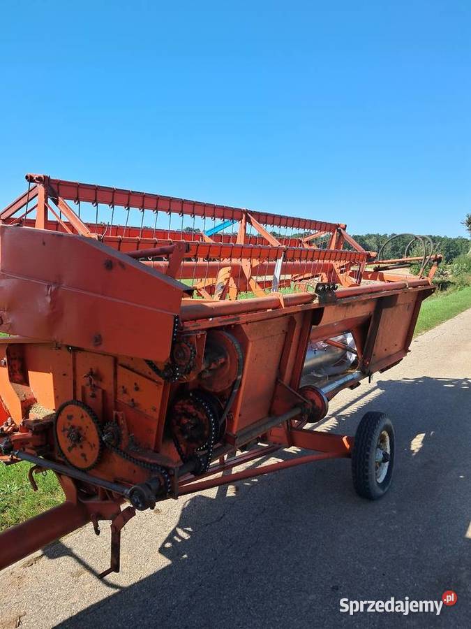 Bizon z056 Janów Podlaski