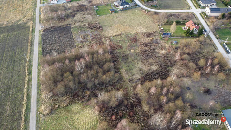 Działka budowalana 1448 m2 Oblęgorek gmStrawczyn budowlana