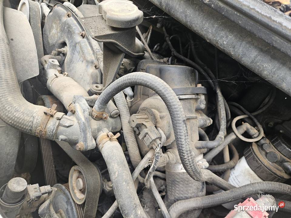 sprzedam silnik 24D ze skrzynią biegów ford Lubawka