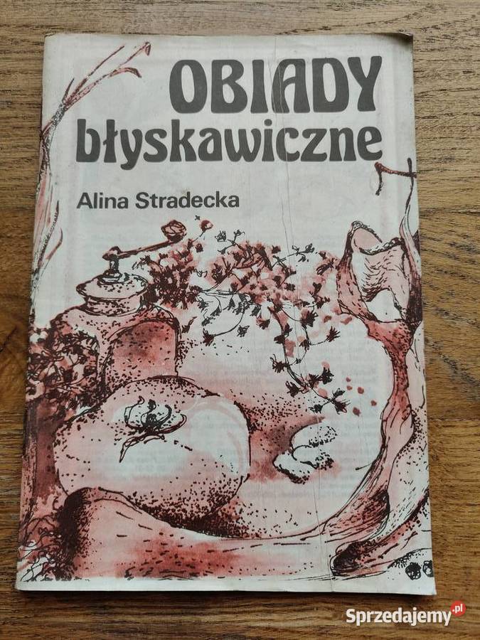 Obiady błyskawiczne Alina Stradecka Książki i Podręczniki Kraków