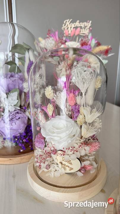 Kopuły szklane Zebrzydowice