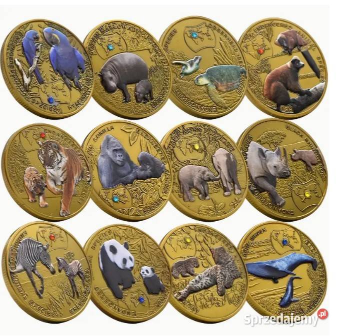 Kolekcjonerskie zestawy zwierząt z różnych stron Antyki, Sztuka, Kolekcje Warszawa