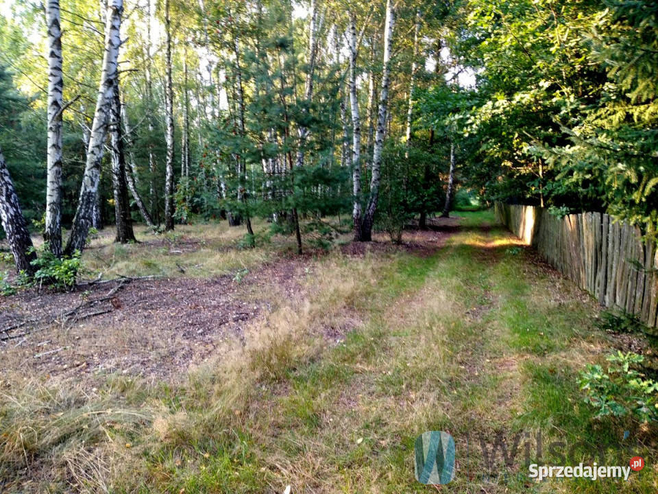 Grunt Niemianowice 1800m2 budowlana