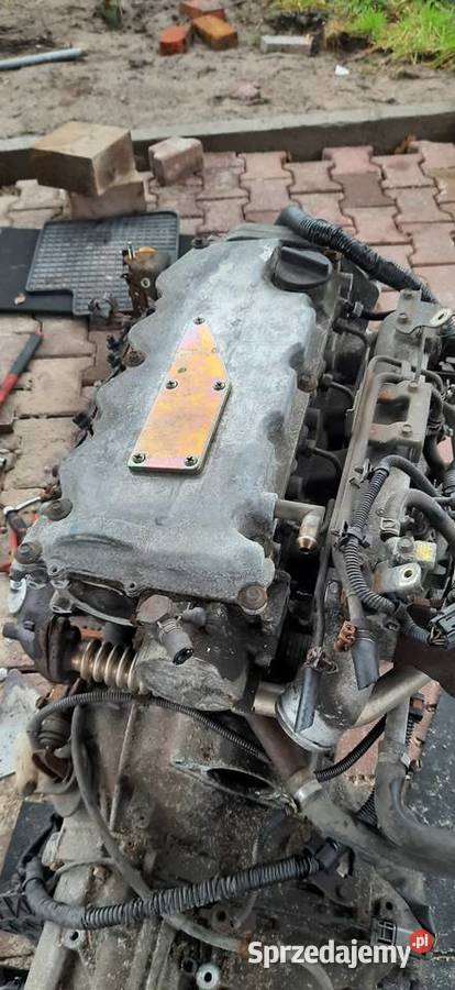 Silnik Nissan Almera n16 22 Di 110 Szczecin sprzedam
