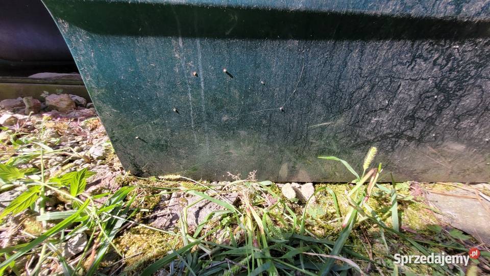 Drzwi Fiat Punto II Drzwi