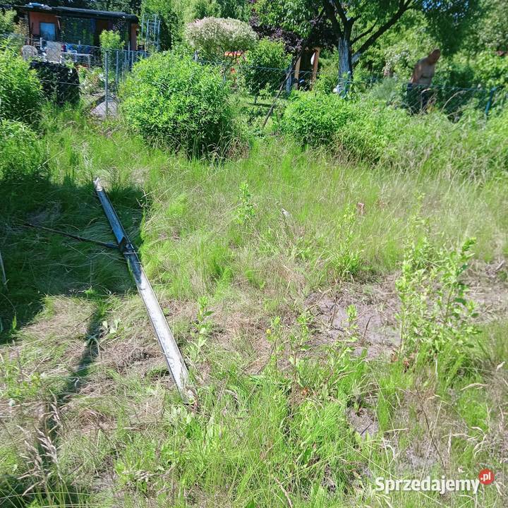 Działka ROD na sprzedaż w Toruniu Sprzedaż