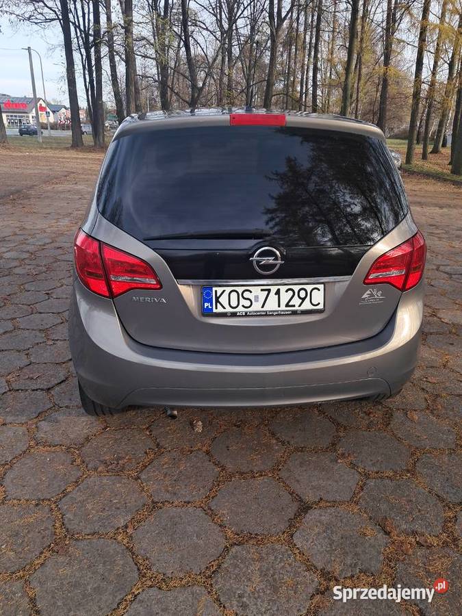 Opel meriva b servisowany systematycznie