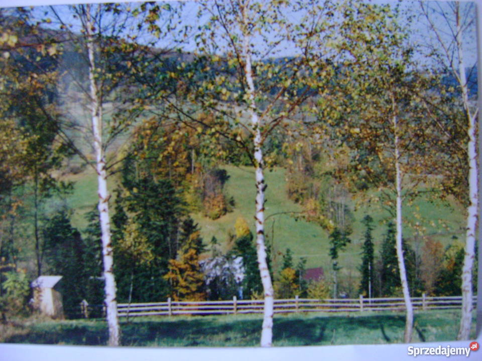 Zawoja Wełcza działka budowlana 1567m2 sprzedam