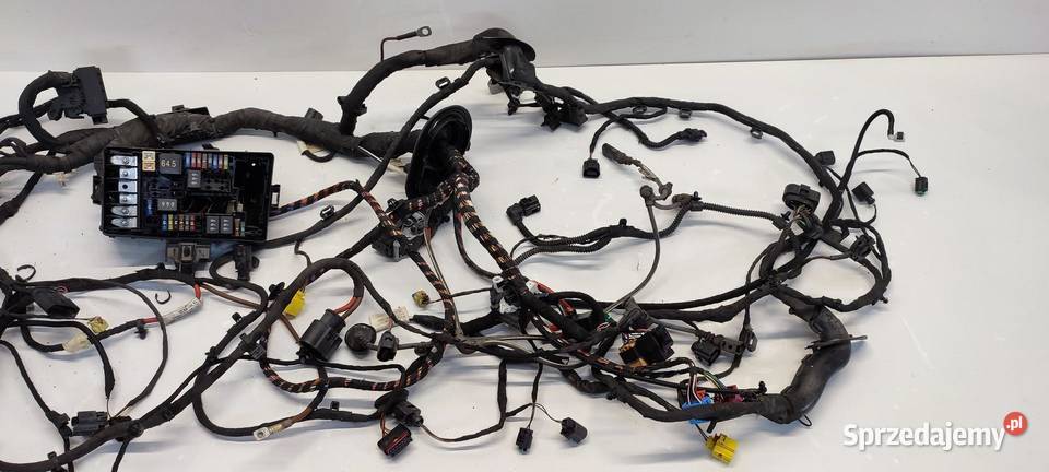 VW TIGUAN II WIĄZKA KOMORY SILNIKA 20 TSI 2018 dolnośląskie