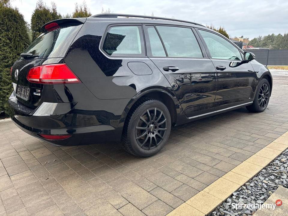 Volkswagen Golf VII 16 TDI 2014 r I rejestracja Golf Rzepin