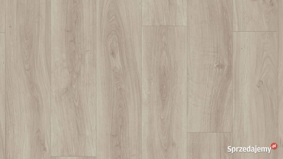 TARKETT Podłoga winylowa English Oak Light Beige lubuskie Zielona Góra