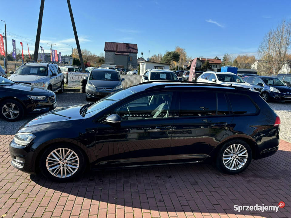 Volkswagen Golf Gwarancja Navi Bluetooth Ksenon Sade Budy
