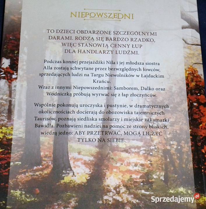 Niepowszedni Porwanie Księga 1 Justyna Drzewicka Pozostałe Chełm