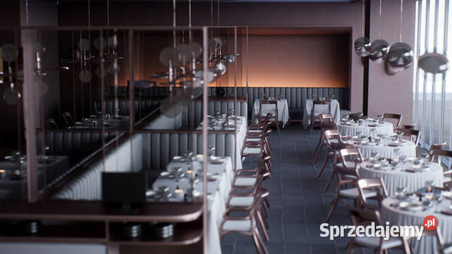 Elysium Restaurant VR Steam Key Poznań