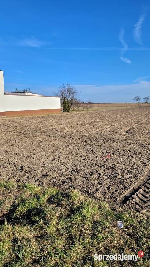 Działki budowlane łódzkie Łęczyca