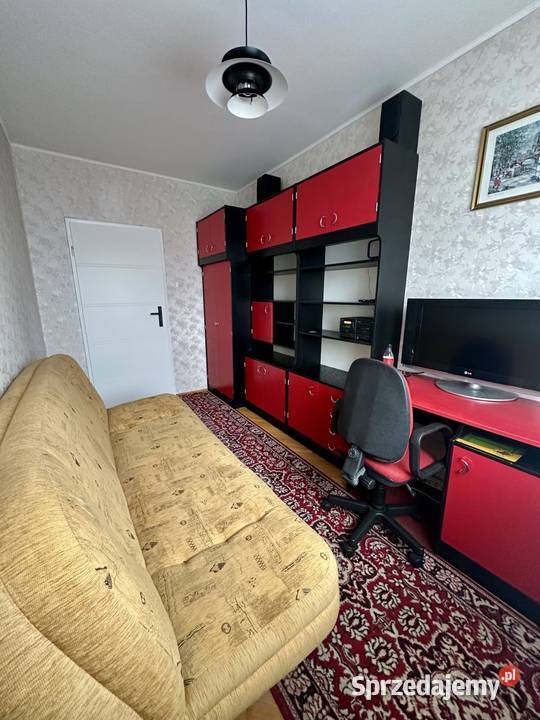 3 pokoje wolne zaraz Gdańsk Zaspa Wynajem
