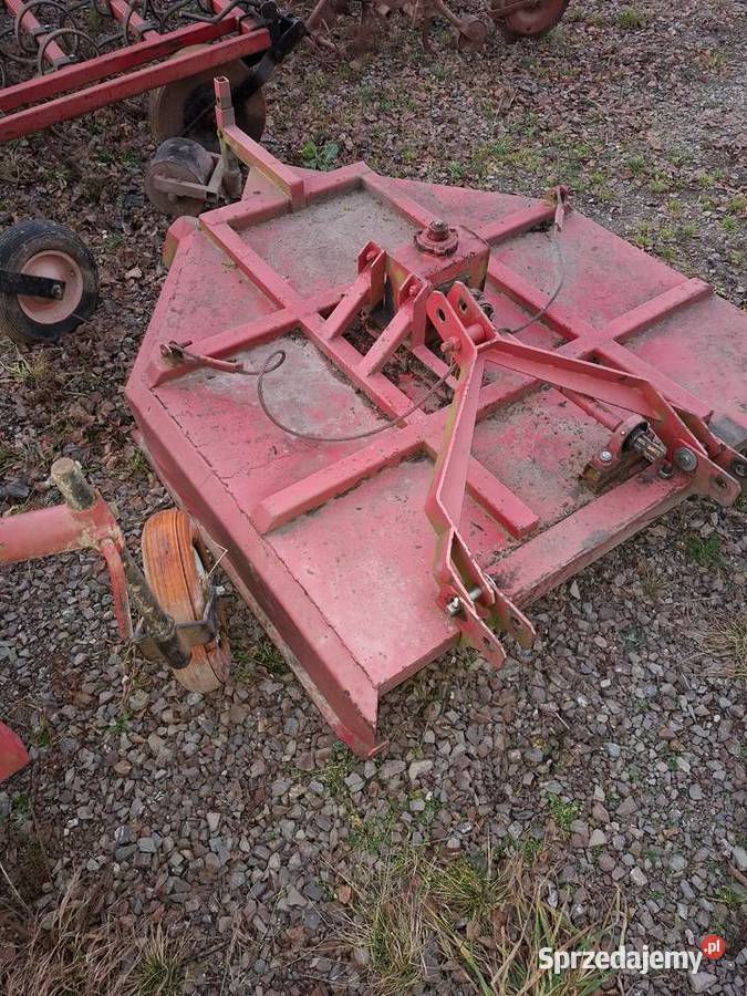 Rotosan świętokrzyskie Nowa Słupia