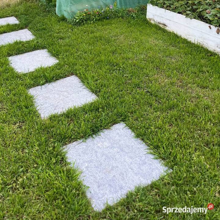 Płytki Wapień L828 płomieniowany i szczotkowany Płytki elewacyjne Lębork