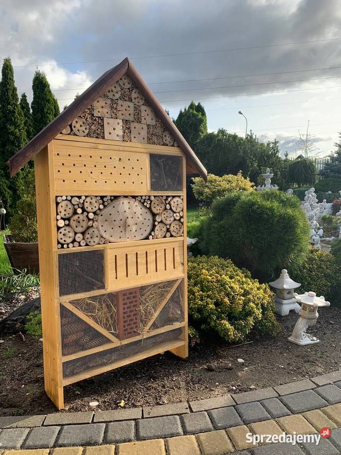 Hotel Domek Dom owadów insektownik karmnik pomorskie Tczew