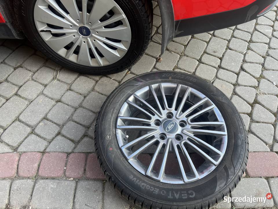 Zadbany Focus z niezawodnym silnikiem Duratec Sochaczew