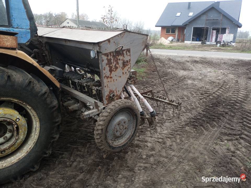 Siewnik poznaniak Parzęczew