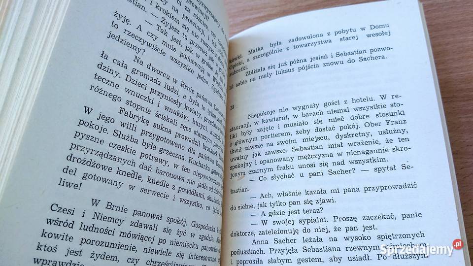 Hotel Sacher Ernst Hagen przeł Janina Gdańsk