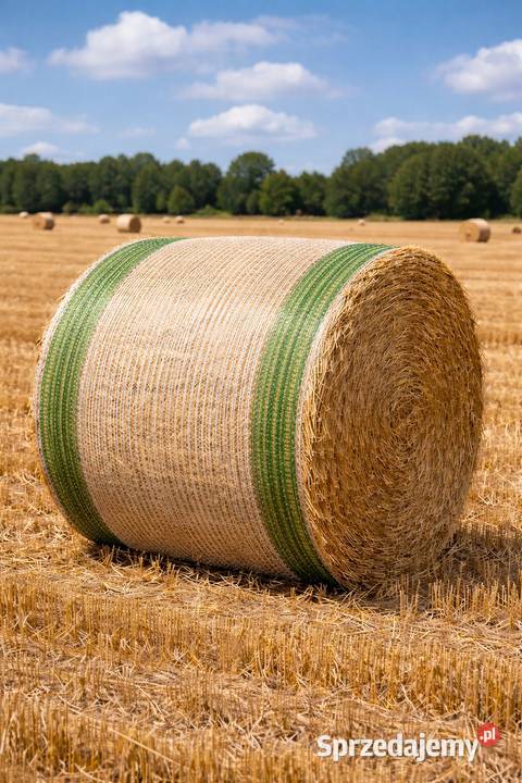 Słoma żytnia w belach Odrzywół sprzedam