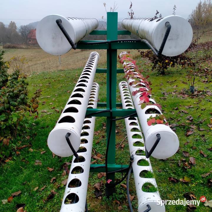 Konstrukcja na truskawki małopolskie Tęgoborze