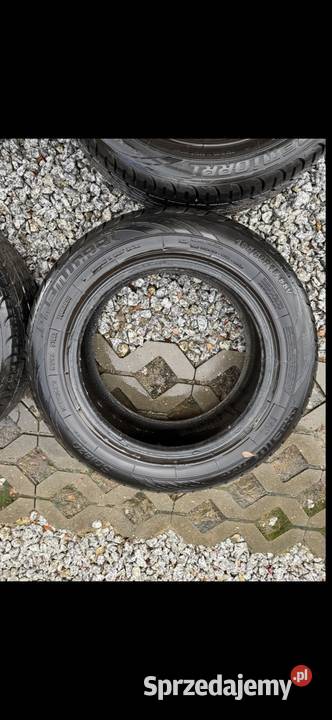 Opony letnie Premiorri 1956015 2021 67mm Krępiec sprzedam