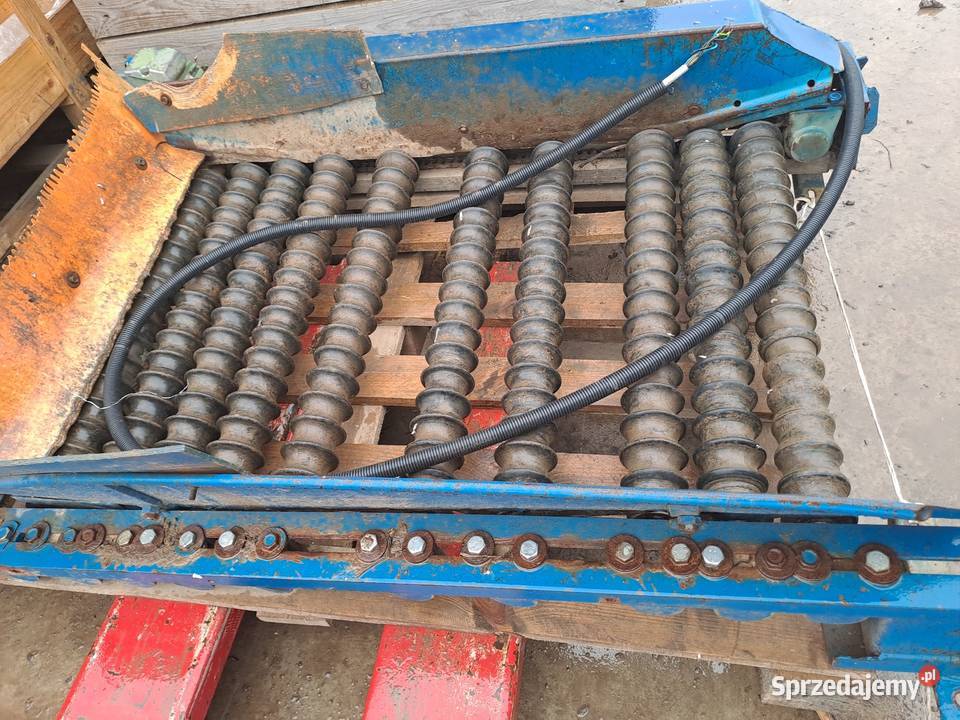 Sortownik rolkowy do ziemniaków i warzyw Maciowakrze