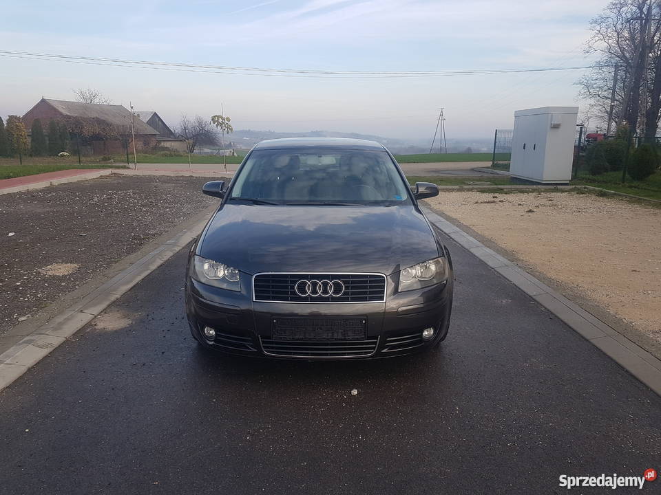 Audi A3 8P 20 TDI 140 opłacony Hebdów