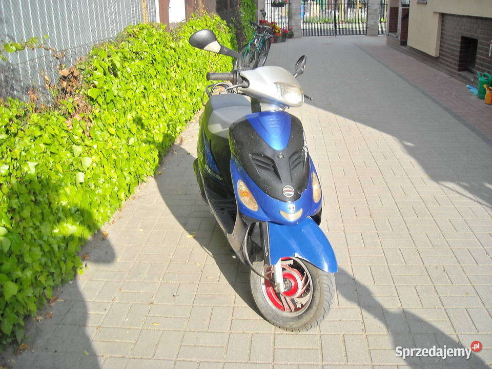 Zipp bt49qt9d Kikół