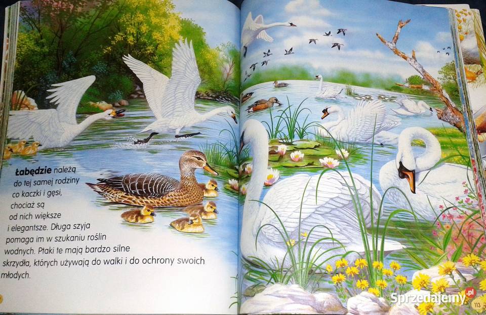 Zwierzęta świata Pere Rovira Francisco Arredondo Pozostałe