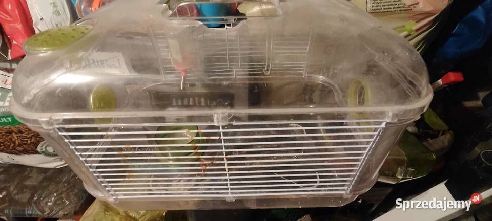 Klatka gryzonia dolnośląskie Świdnica