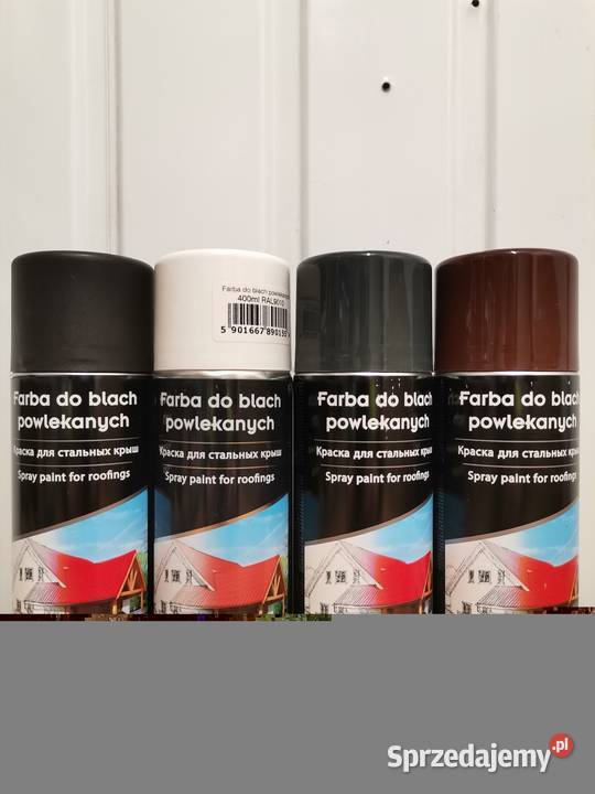 Farba renowacyjna w sprayu do blachy podkarpackie Kolbuszowa
