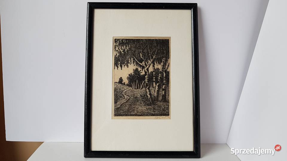 Stara sygnowana grafika Brzozy Antyki, Sztuka, Kolekcje Dąbrowa Górnicza