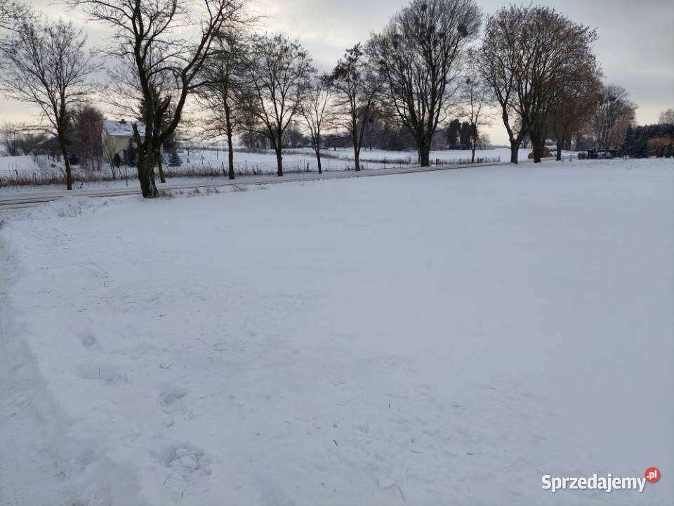 Strzelce Działka do zabudowy siedliskowej 1800m2