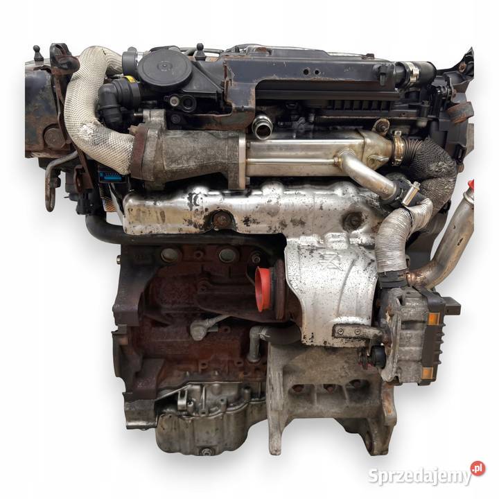 SILNIK 224DT Land Rover Freelander II L359 22 D Chełm