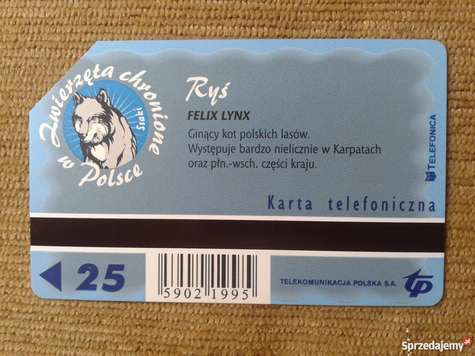 RYŚ GINĄCY KOT POLSKICH LASÓW