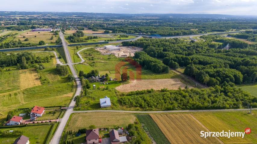 Grunt sprzedam 7000m2 Borek Wielki Króla Sprzedaż podkarpackie