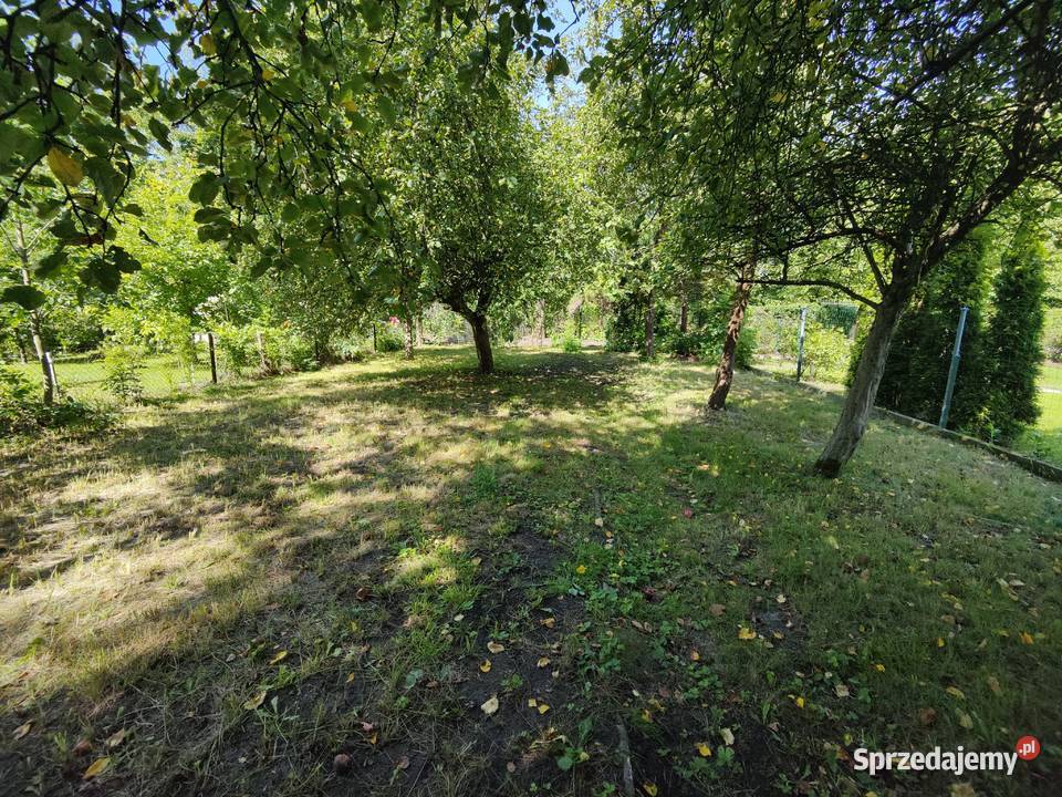 Działka ROD Urodzaj Gliwice 320m altana murowana woda