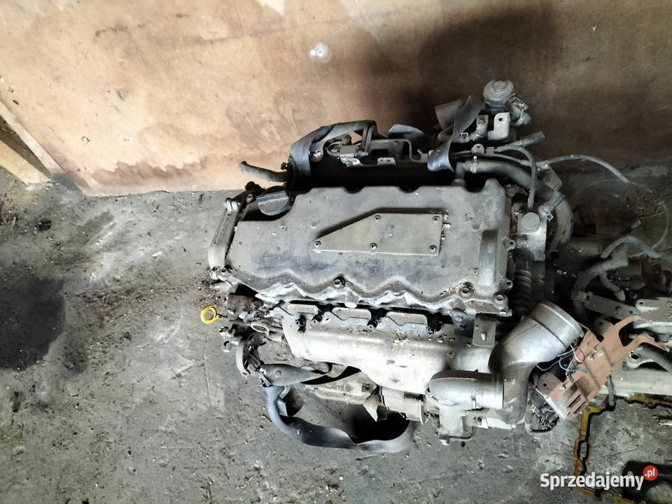Nissan almera tino silnik skrzynia biegów 22 D silniki kompletne Kamień-Kolonia