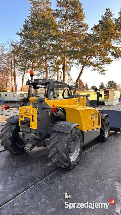 ŁADOWARKA TELESKOPOWA WACER NEUSON TH 522 NISKA nieuszkodzony Dźwirzyno